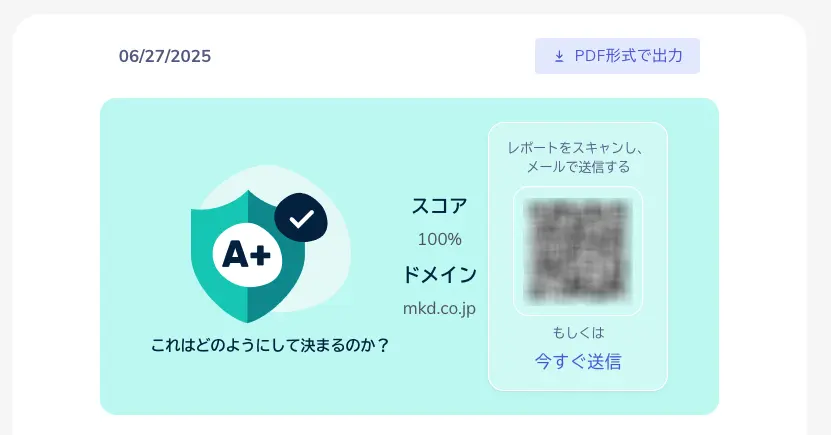 ドメインスコアの分析結果の画像(当社の場合)